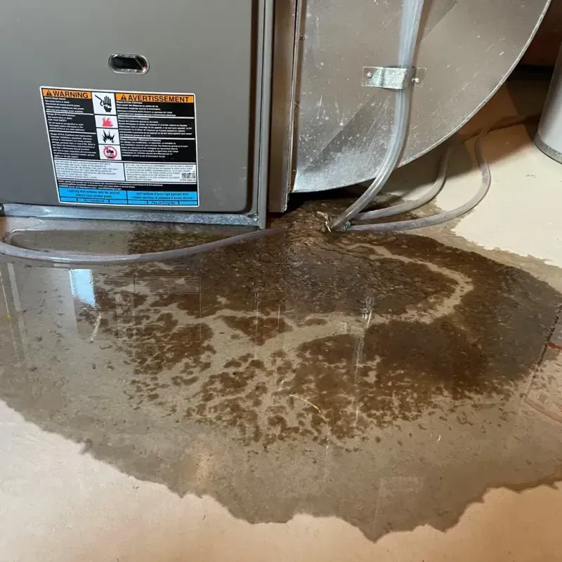 Appliance Leak Cleanup in Jamestown, NC